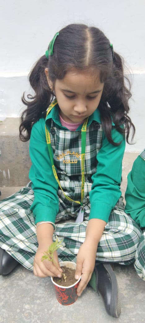 Student planting a seedling — hands-on environmental learning